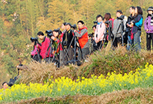 数码摄影班13期学员在江西婺源外拍油菜花